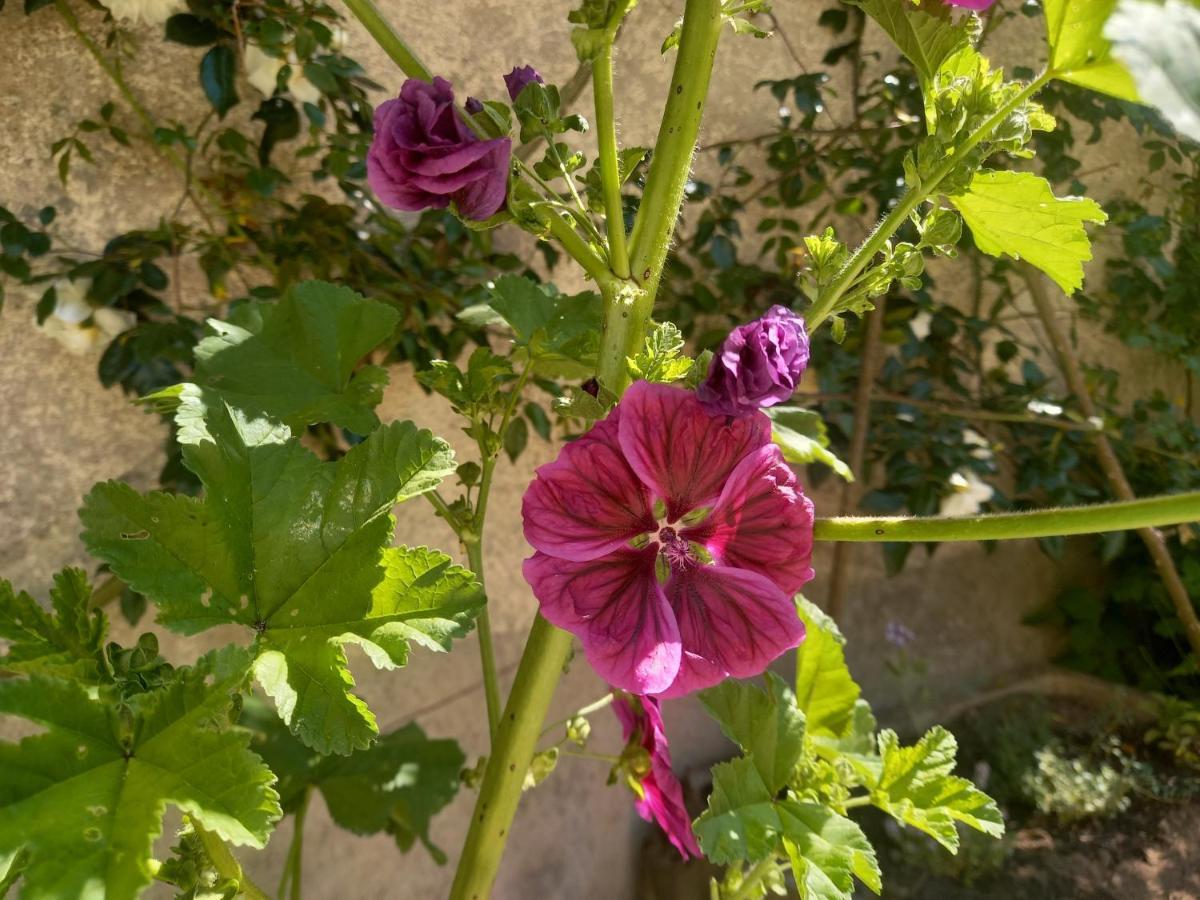 Maison Violette En Berry Aigurande 外观 照片